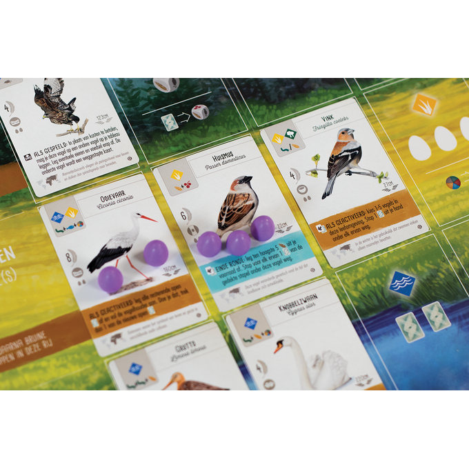 Wingspan uitbreiding: Europa - Bordspel