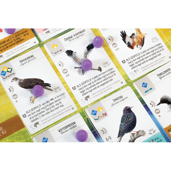 Wingspan uitbreiding: Europa - Bordspel