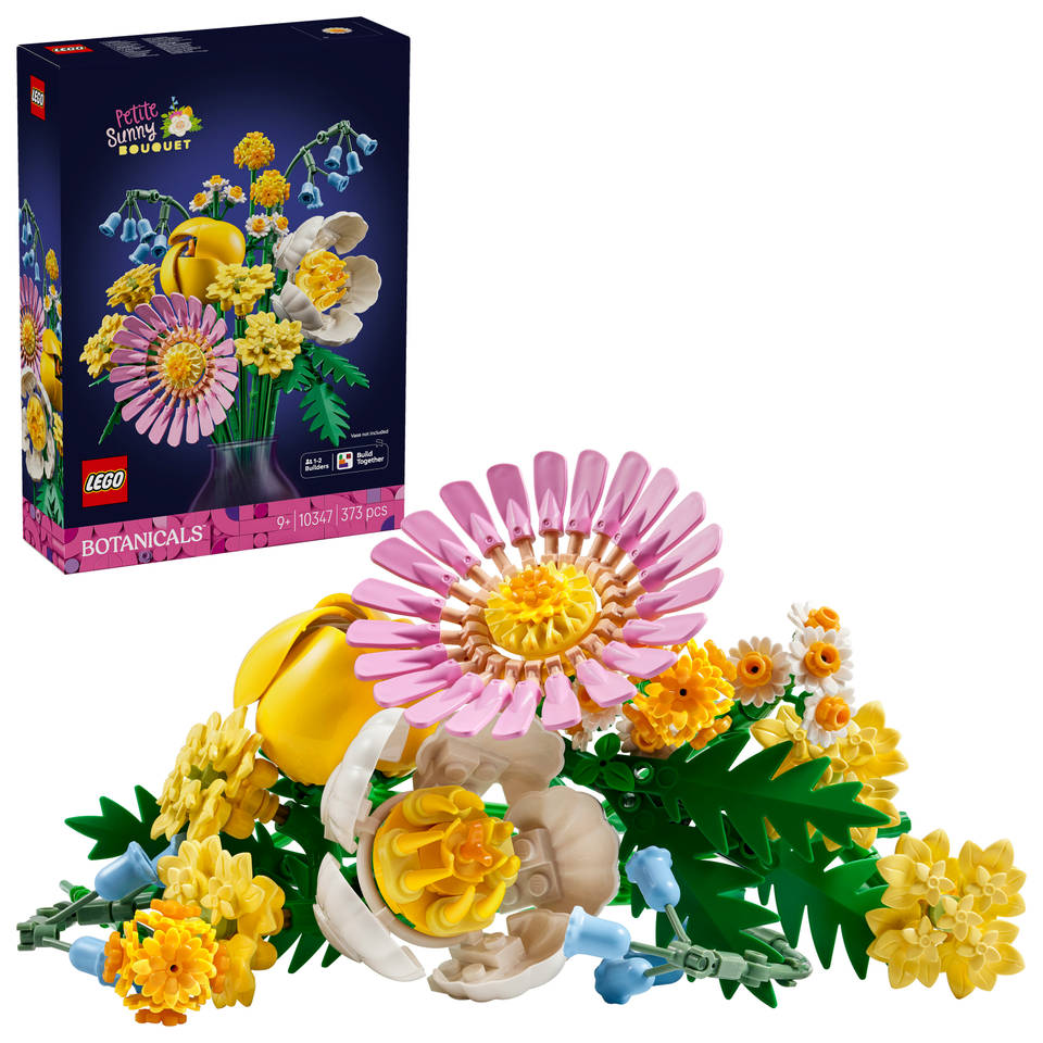 LEGO Botanicals 10347 Klein zomerboeket