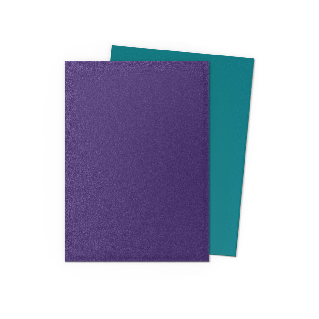 SLEEVES DS Matte Dual Soul & Petrol (100)